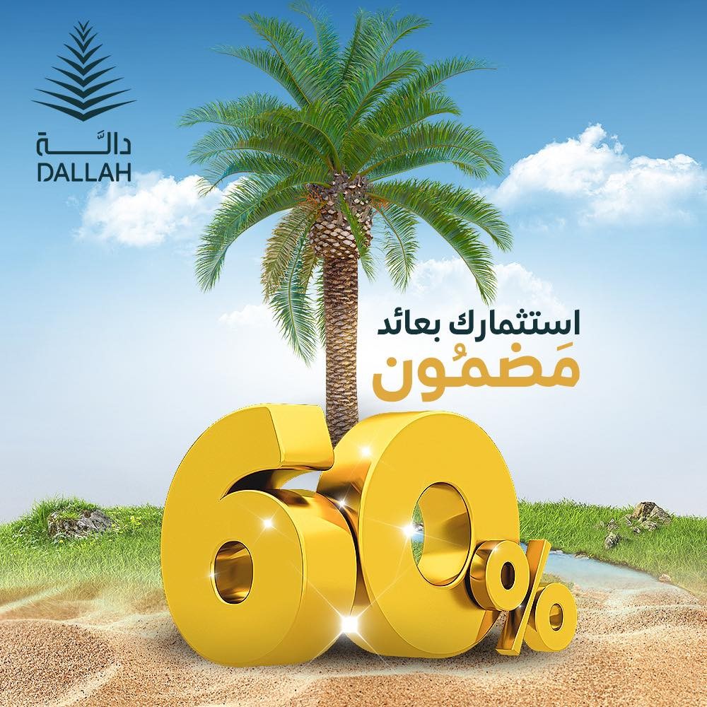 انتهز فرصة الاستثمار في زراعة نخيل المجدول